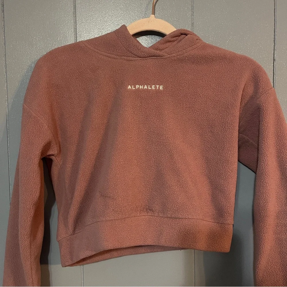 Alphalete Crop Hoodie - Picture 2 of 4